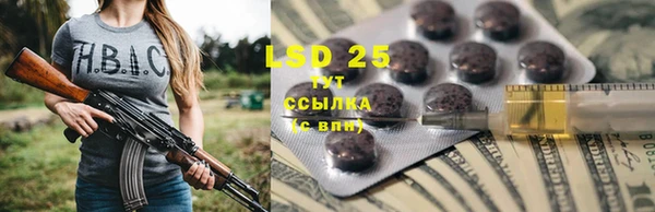 MESCALINE Аркадак