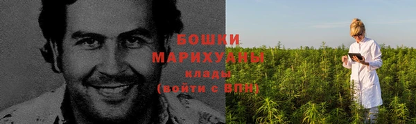 MESCALINE Аркадак