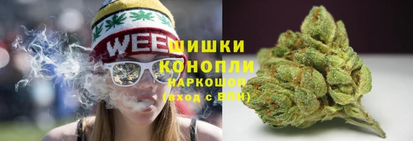 MESCALINE Аркадак