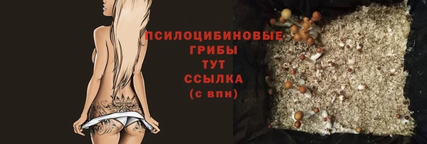 MESCALINE Аркадак