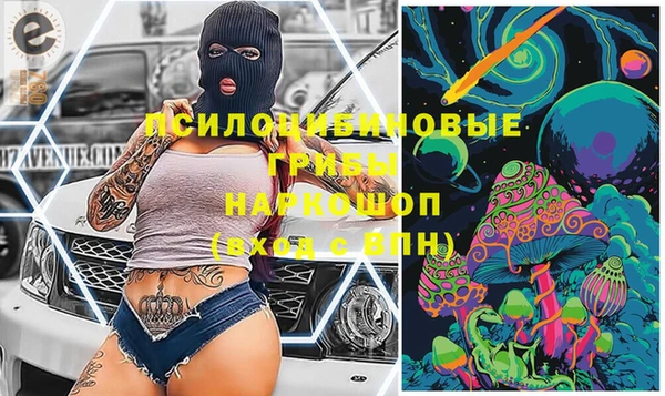 ГАЛЛЮЦИНОГЕННЫЕ ГРИБЫ Рославль
