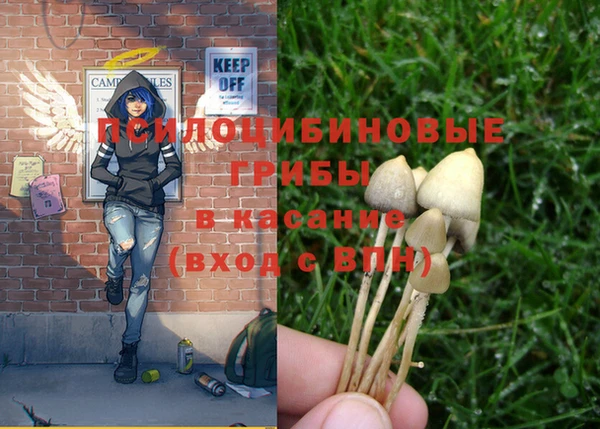 MESCALINE Аркадак